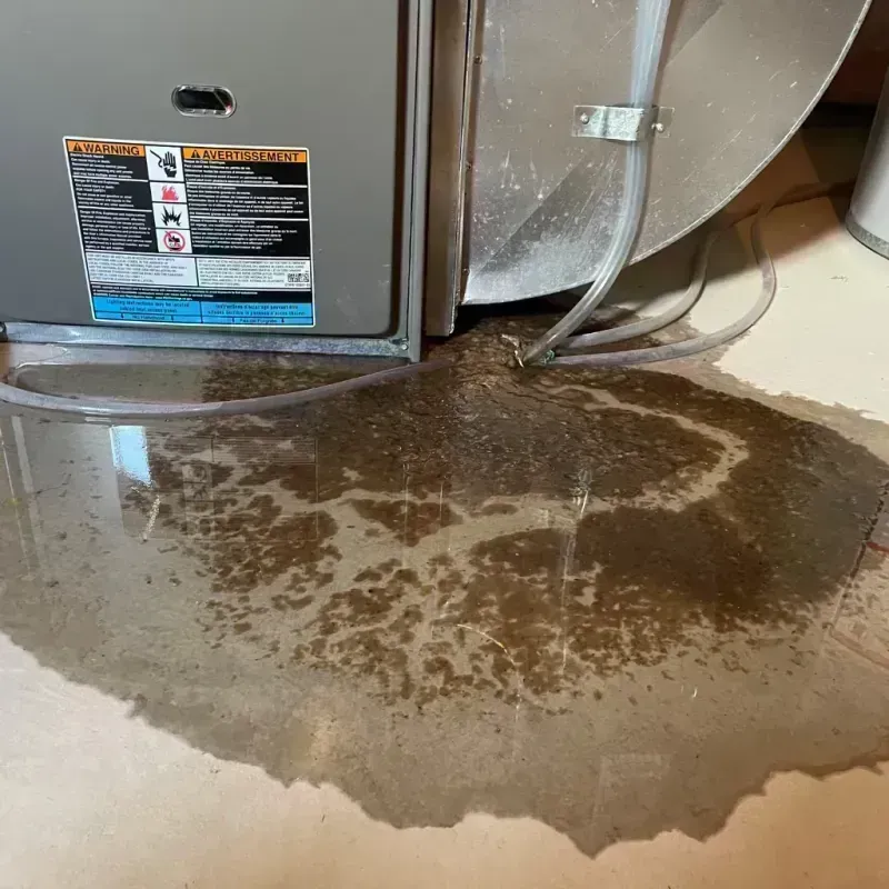 Appliance Leak Cleanup in El Jebel, CO